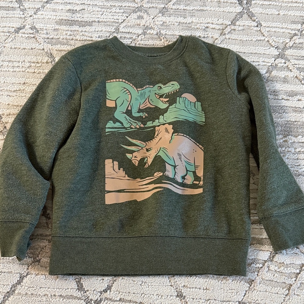 Dinosaur Sweatshirt
